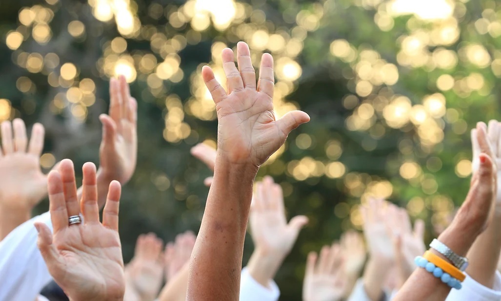 Bild Landeselternvertretung Hessen - Hände